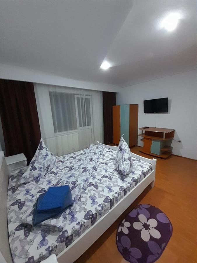 Casa Dany Hotel Vatra Dornei Exterior photo